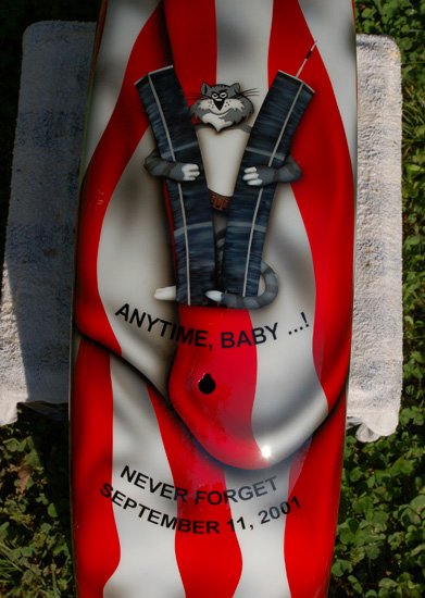 9-11 Responder/Surviver/Hero American Flag Paint with TomCat Watching over the Twin Towers. Thank You Frank!