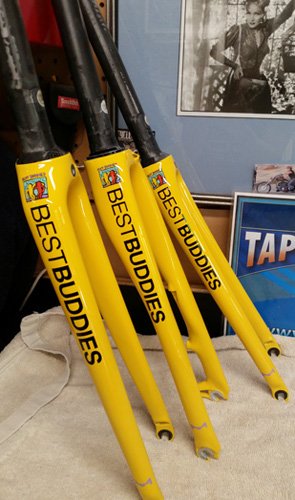 Team Bicycle for Best Buddies Foundation.